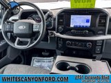 Used 2023 Ford F150 XLT image 5