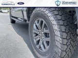 New 2025 Ford F150 Tremor image 5