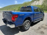New 2025 Ford F150 XLT image 4