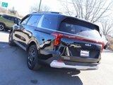 New 2025 Kia Carnival EX image 2