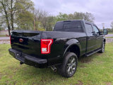 Used 2017 Ford F150 XLT w/ Equipment Group 302A Luxury image 5