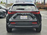 Used 2025 Lexus NX 350 AWD image 5