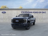 New 2025 Ford F250 Platinum image 2