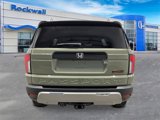 New 2026 Honda Passport TrailSport Elite image 4