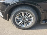 Used 2023 INFINITI QX80 Luxe w/ Cargo Package image 4