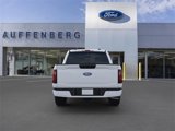 New 2025 Ford F150 STX w/ Equipment Group 200A image 5