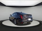 New 2025 Cadillac CT4 Premium Luxury image 6
