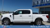 New 2025 Ford F150 XLT w/ Equipment Group 302A MID image 2