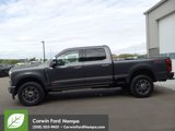 New 2025 Ford F250 Platinum image 6