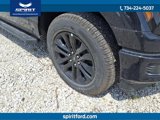 New 2025 Ford F150 XLT w/ Equipment Group 302A MID image 4