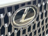 New 2025 Lexus NX 450h+ AWD w/ Luxury Package image 5