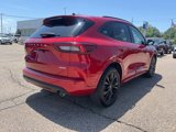 Certified 2024 Ford Escape ST-Line Elite w/ Premium Technology Package image 4