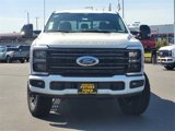 New 2025 Ford F250 Platinum w/ Tremor Off-Road Package image 3