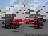 New 2025 Ford F150 XLT w/ Equipment Group 302A MID image 4