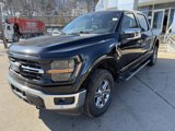 New 2025 Ford F150 XLT w/ Equipment Group 302A MID image 3