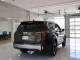 New 2025 Kia Telluride EX image 4