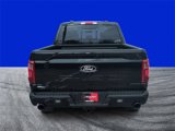 New 2025 Ford F150 XLT w/ Equipment Group 303A High image 4