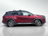 New 2025 INFINITI QX60 Autograph w/ Cargo Package image 3
