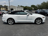 Used 2016 Ford Mustang Premium w/ Pony Package image 5
