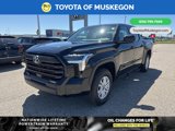 New 2025 Toyota Tundra SR5 image 3