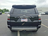 Used 2022 Toyota 4Runner TRD Off-Road Premium image 5