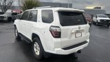 Used 2024 Toyota 4Runner SR5 Premium image 4