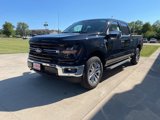 New 2024 Ford F150 XLT w/ Equipment Group 303A High image 2