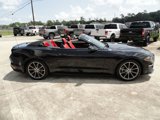 Used 2019 Ford Mustang Premium w/ Equipment Group 201A image 6