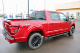 New 2025 Ford F150 XLT w/ Equipment Group 303A High image 5