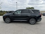 New 2025 Hyundai Palisade Calligraphy image 5