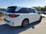 New 2025 Honda Odyssey Touring image 4