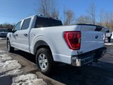 Used 2021 Ford F150 XLT w/ Trailer Tow Package image 3