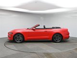 Used 2023 Ford Mustang Premium image 2