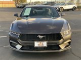 Used 2024 Ford Mustang Coupe image 2