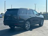 New 2025 Cadillac Escalade Sport w/ Touring Package image 5