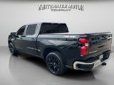 Used 2020 Chevrolet Silverado 1500 LT w/ All-Star Edition image 3