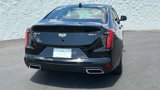 New 2025 Cadillac CT4 Luxury image 4