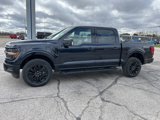 New 2025 Ford F150 XLT image 2