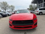 Used 2024 Ford Mustang Coupe image 2