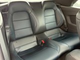 New 2025 Ford Mustang GT Premium w/ California Special Package image 5