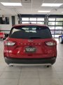 Used 2022 Ford Escape SE w/ Cold Weather Package image 5