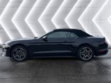 Used 2022 Ford Mustang Premium image 2