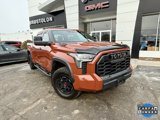 Used 2024 Toyota Tundra TRD Pro image 5