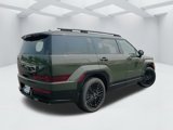 New 2026 Hyundai Santa Fe Calligraphy image 5