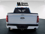 New 2025 Ford F150 XLT image 4