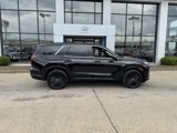 New 2025 Hyundai Palisade Calligraphy image 3