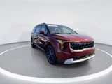 Used 2025 Kia Carnival EX image 2