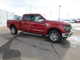 New 2025 Ford F150 XLT w/ Equipment Group 302A MID image 4