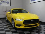 Used 2024 Ford Mustang Coupe image 5