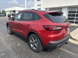New 2025 Ford Escape ST-Line Select w/ Class II Trailer Tow Package image 3